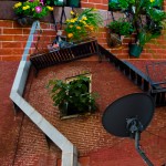 Plants in windows composite.