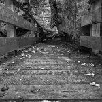 Beartown Park Boardwalk
