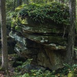 Rocks at Beartown State Park.