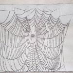 Spider web