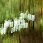Vertical reflections