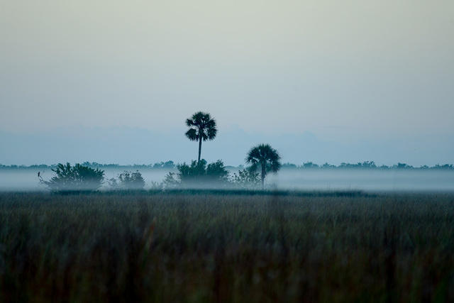 Sunrise Mist