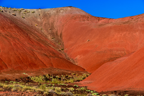 PaintedDesert