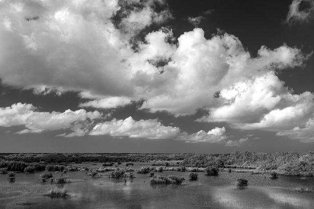 Clouds&Swamp