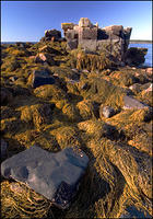 Seaweed Castle