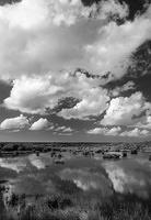 Clouds&Swamp-(10)