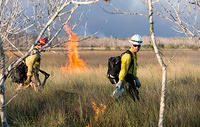 Prescribed Burn