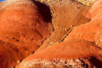 Painted Desert
