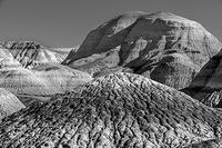 Blue Mesa Trail