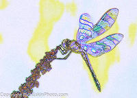 Halloween Pennant