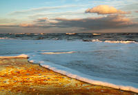 Rock Patterns and Surf at Assateague