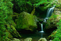 Grotto Falls in Smoky Mountain National Park