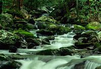 Mountain Stream, Cosby