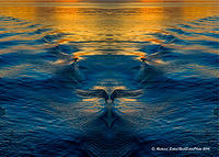 Creature in the Wake